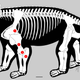 Image for article titled This Is the Earliest Known Creature Capable of Walking Upright on All Four Legs